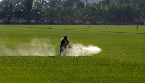 全自動農(nóng)藥殘留檢測儀的功能特點有哪些？