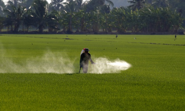 瓜果蔬菜的農(nóng)藥殘留怎么規(guī)避？如何判斷食品是否含有農(nóng)藥殘留