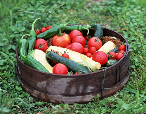 到底什么是農(nóng)藥殘留超標(biāo)？農(nóng)藥殘留檢測儀避免農(nóng)藥殘留超標(biāo)