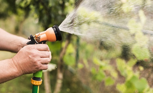 蔬果買回用農(nóng)殘檢測儀測一測，食品安全更放心!