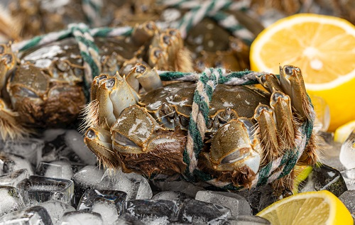 隔夜蟹、死螃蟹到底能不能吃？小心菌落總數(shù)激增