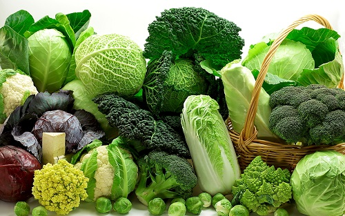 智能食品安全檢測儀的運(yùn)用，實(shí)現(xiàn)食品安全問題的猜測和猜測報(bào)警