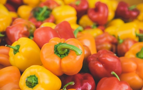 多功能食品安全檢測(cè)儀器都配備哪些功能？