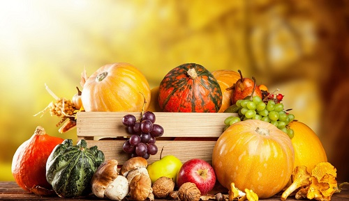 淺談農(nóng)藥殘留檢測儀的維護工作