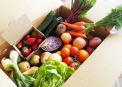 食品安全檢測儀可有效提高質(zhì)量抽檢效率，為食品安全監(jiān)督做出貢獻