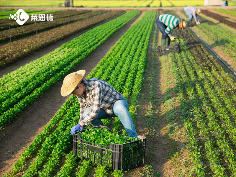 科研級(jí)土壤肥料養(yǎng)分檢測儀 農(nóng)業(yè)科研單位如何選型